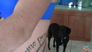 Wytatuowany piękna Its Cleo lubi wyciągnąć pomocną dłoń, gdy wielki członek trzeba zdjąć stres, nawet więcej, jeśli może ona uzyskać ciepłą spermę na swoje cycki! Tak słodkie! Pełna wideo i wszystkie jego Klio @ ItsCleoLive.com !