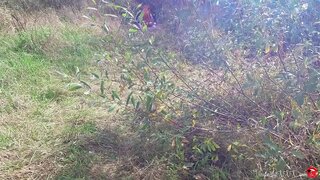 اجنبی بھاڑ میں جاؤ Catwoman میں منہ کے بعد یاد کے جنگل میں